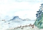 伊良湖を望む